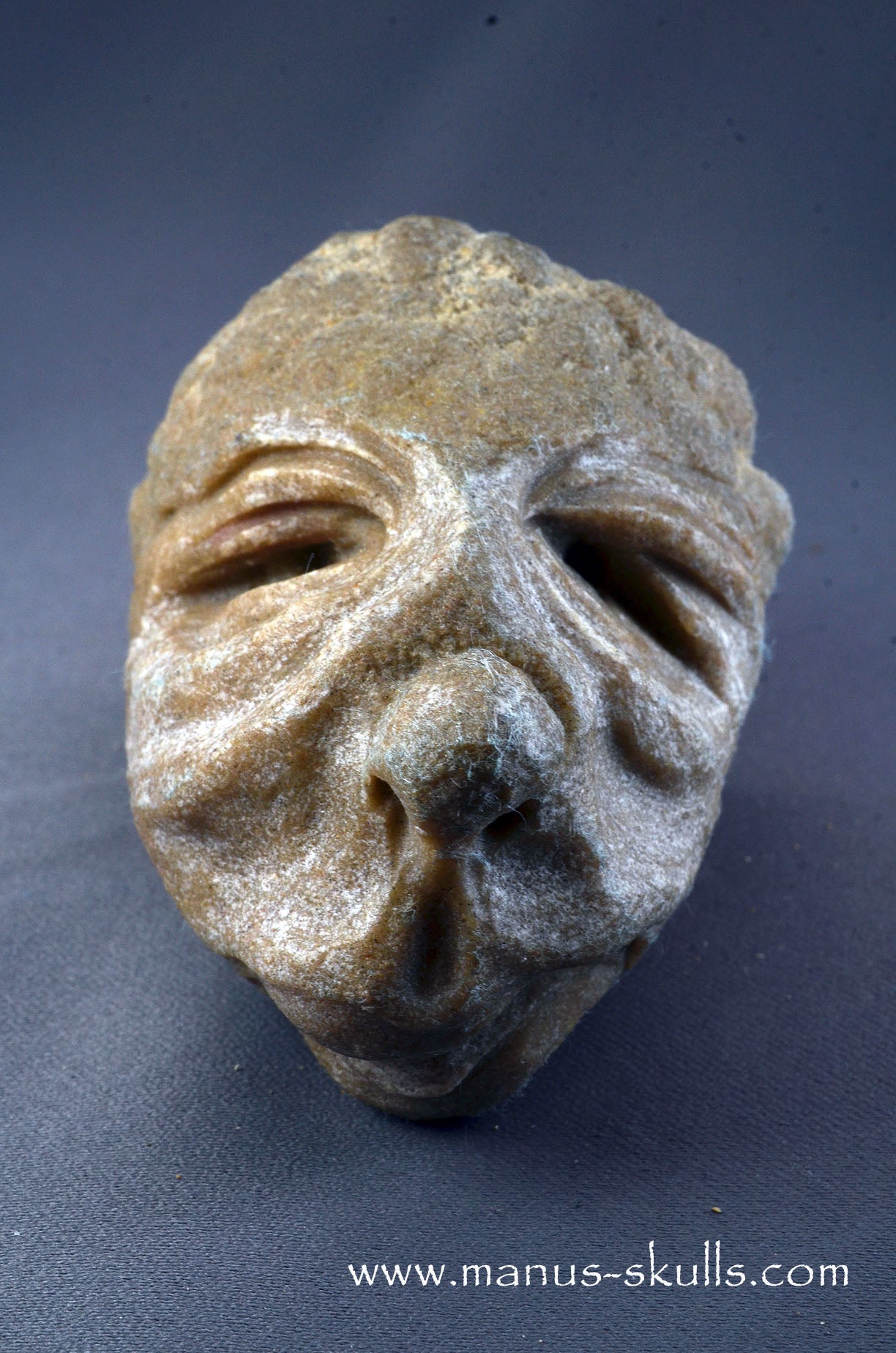Stromatolite ~ Oncolite Character Skull