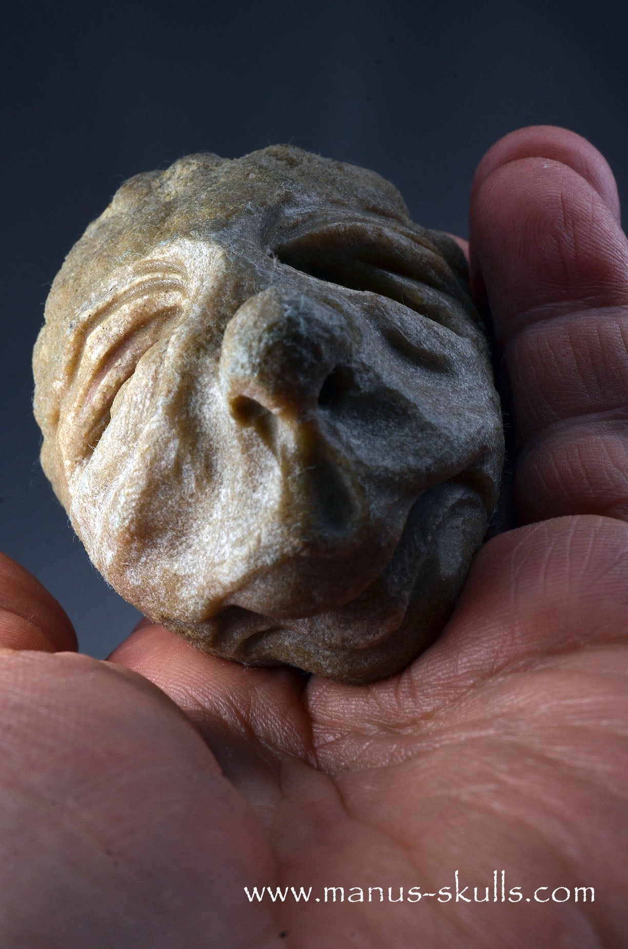 Stromatolite ~ Oncolite Character Skull