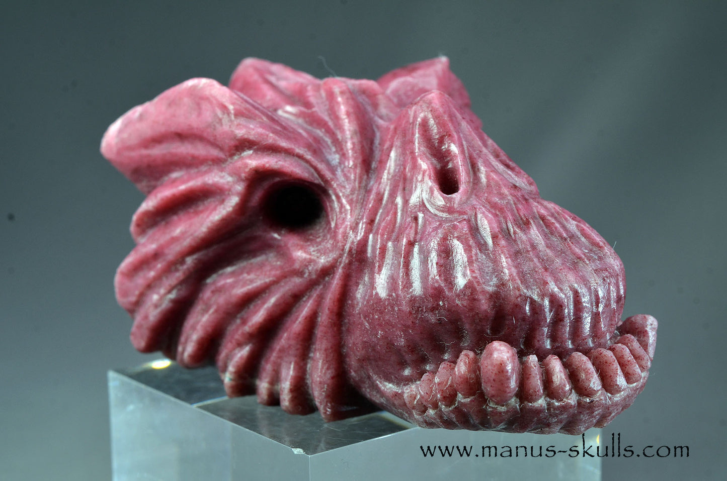 Detailed Thulite Dragon