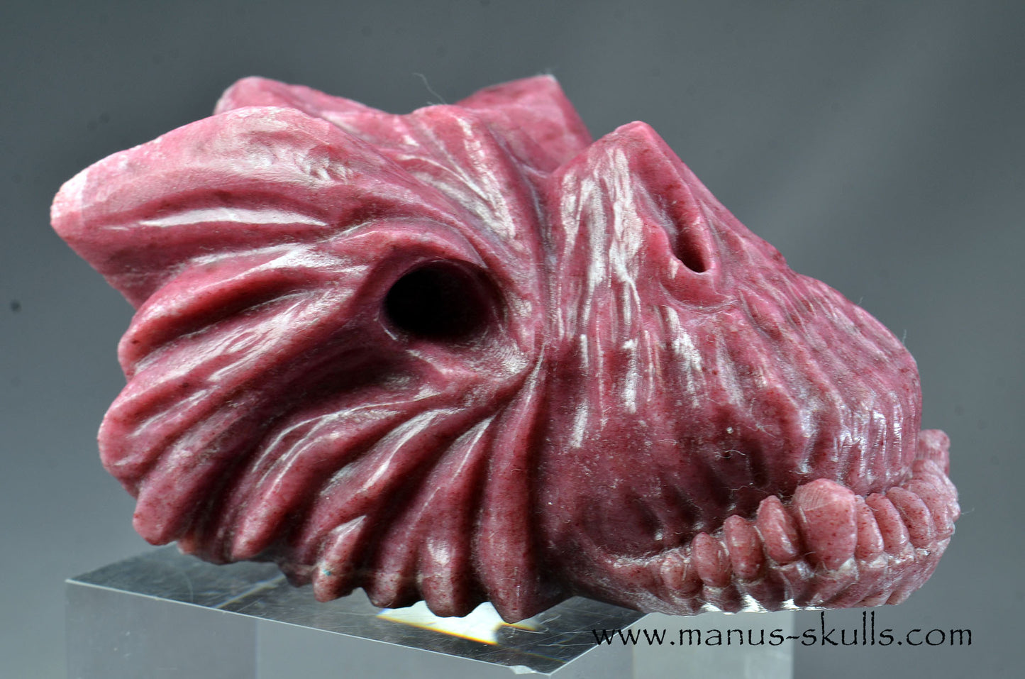 Detailed Thulite Dragon