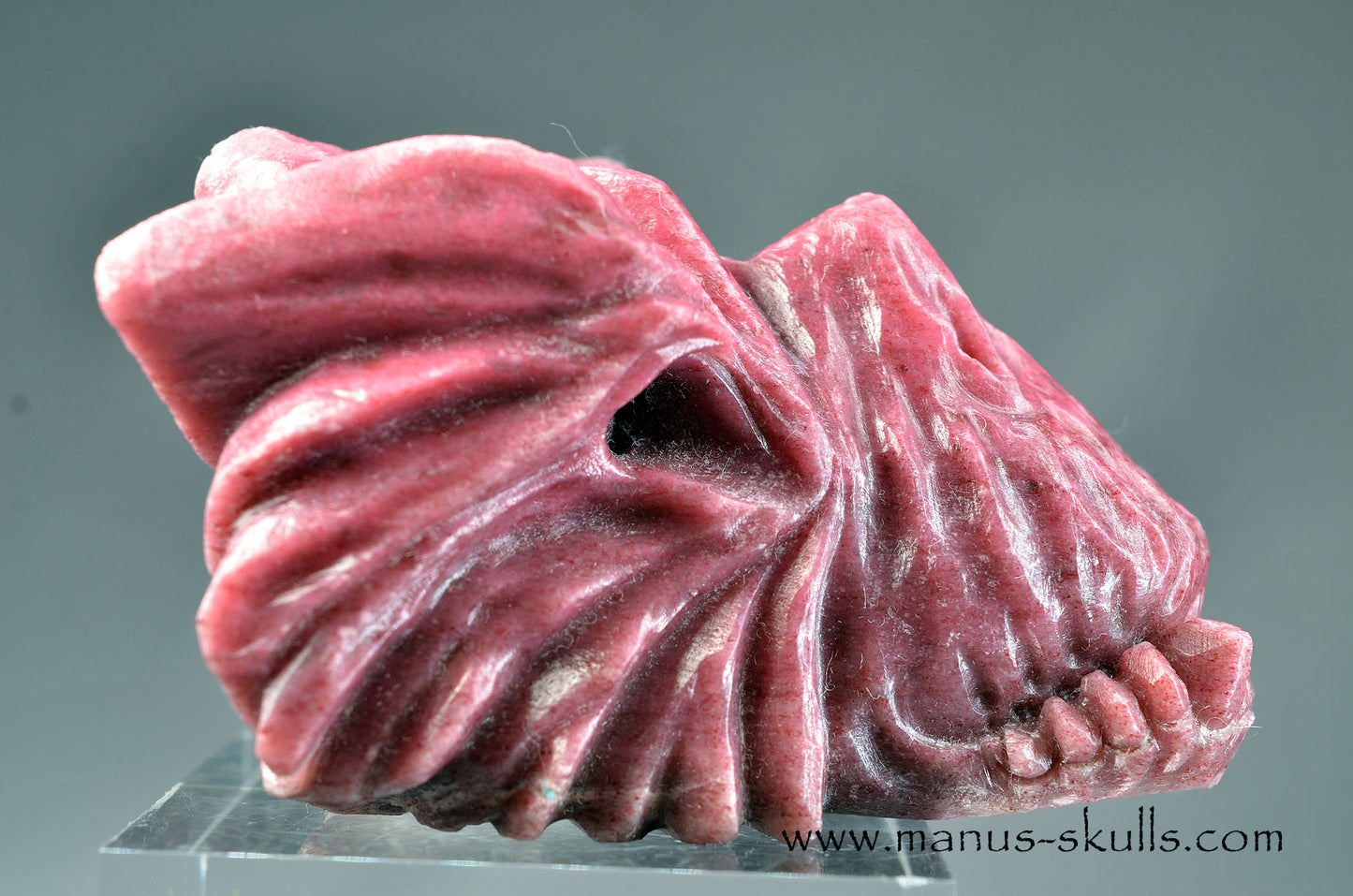 Detailed Thulite Dragon