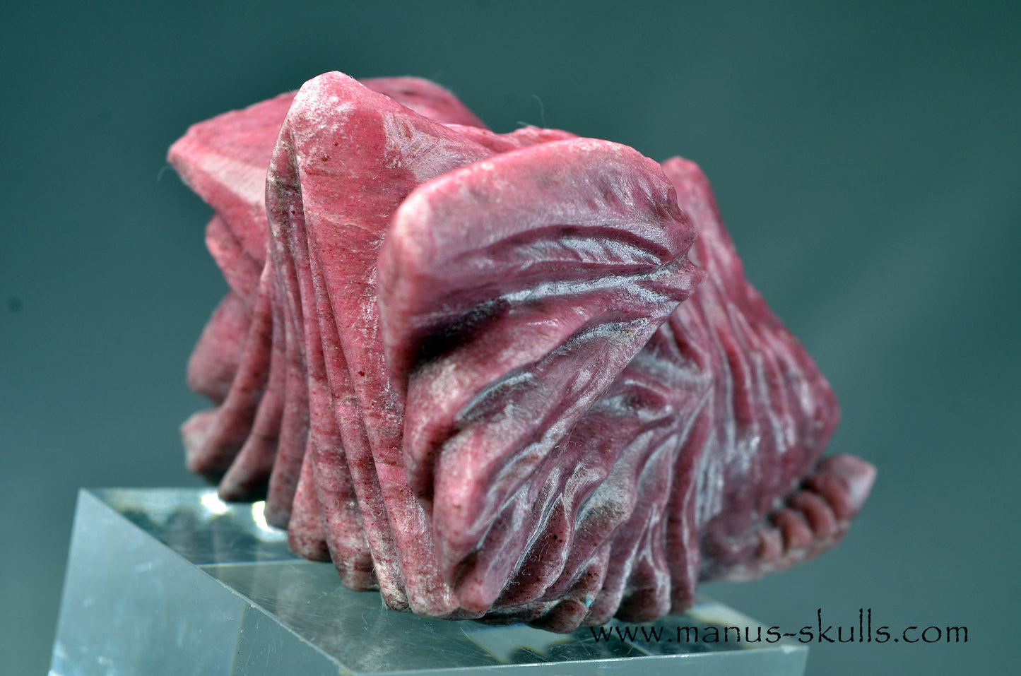 Detailed Thulite Dragon