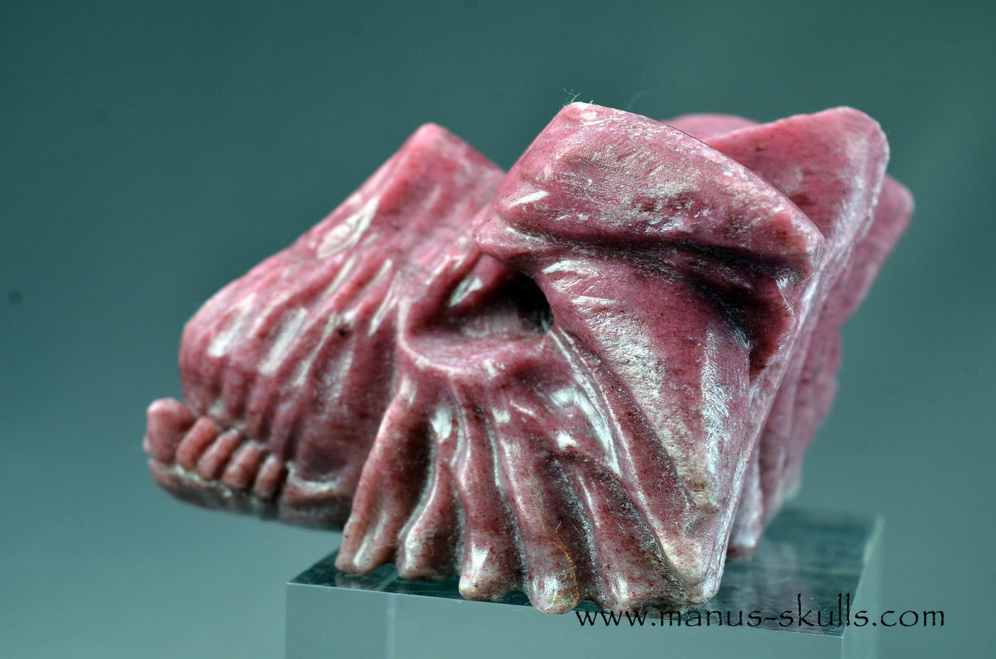 Detailed Thulite Dragon