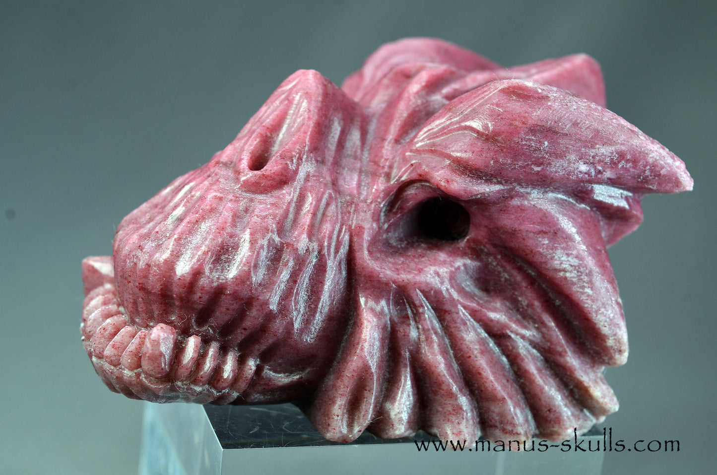 Detailed Thulite Dragon