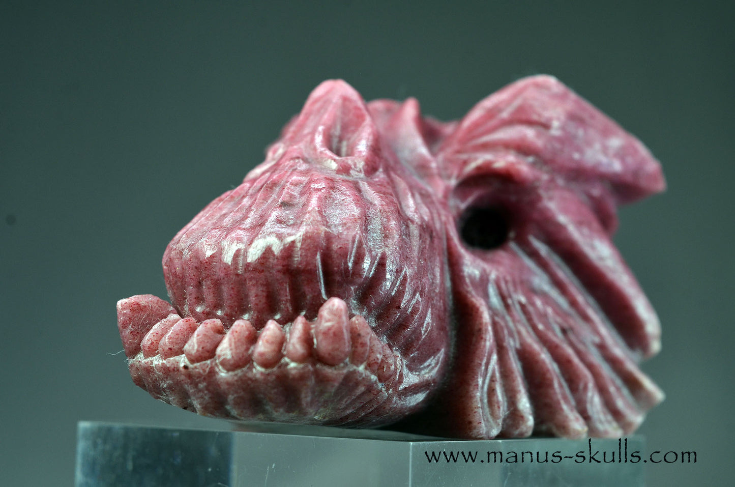 Detailed Thulite Dragon