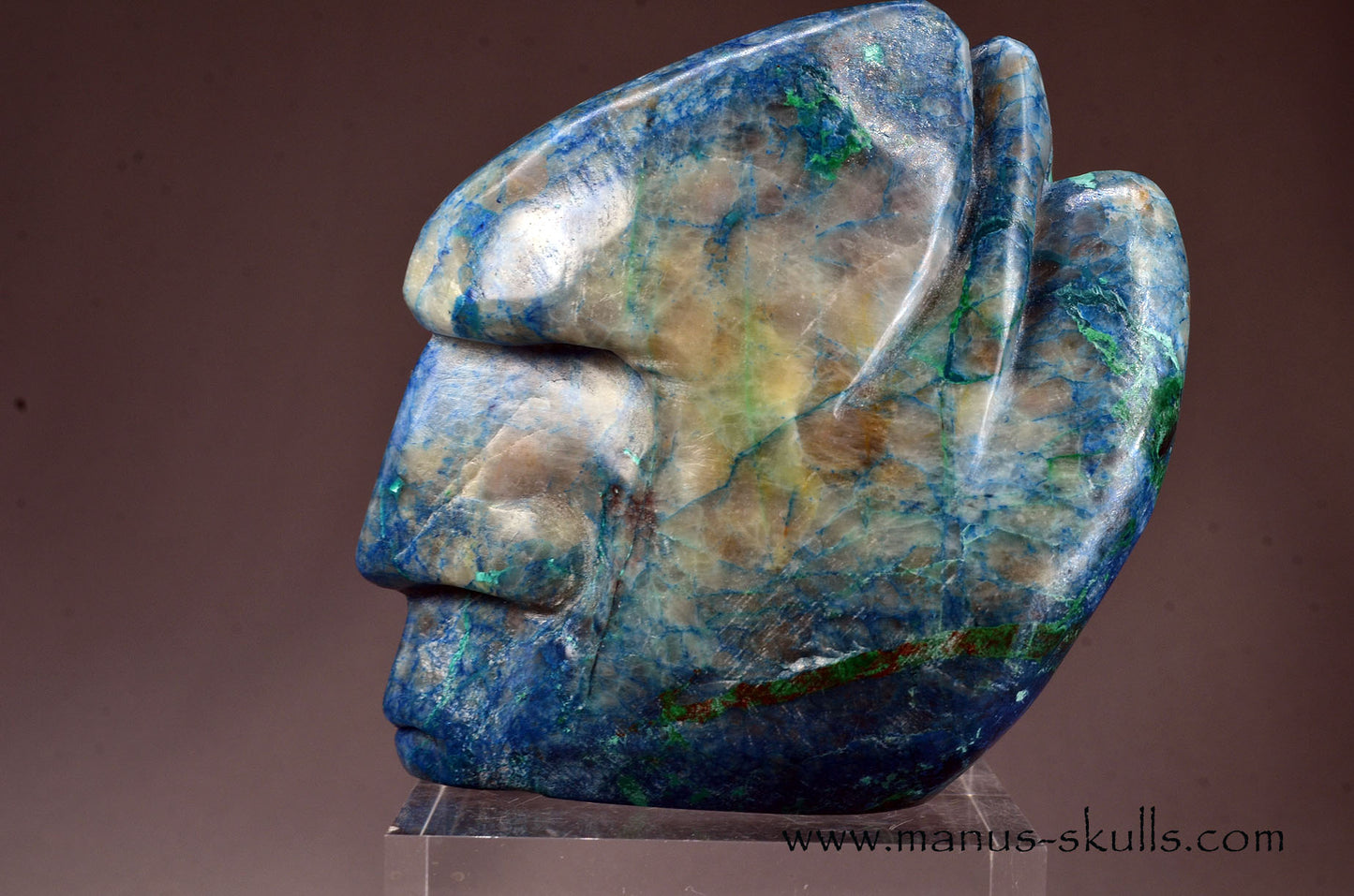 Beautiful Quantum Quattro Tribal Skull (#085)
