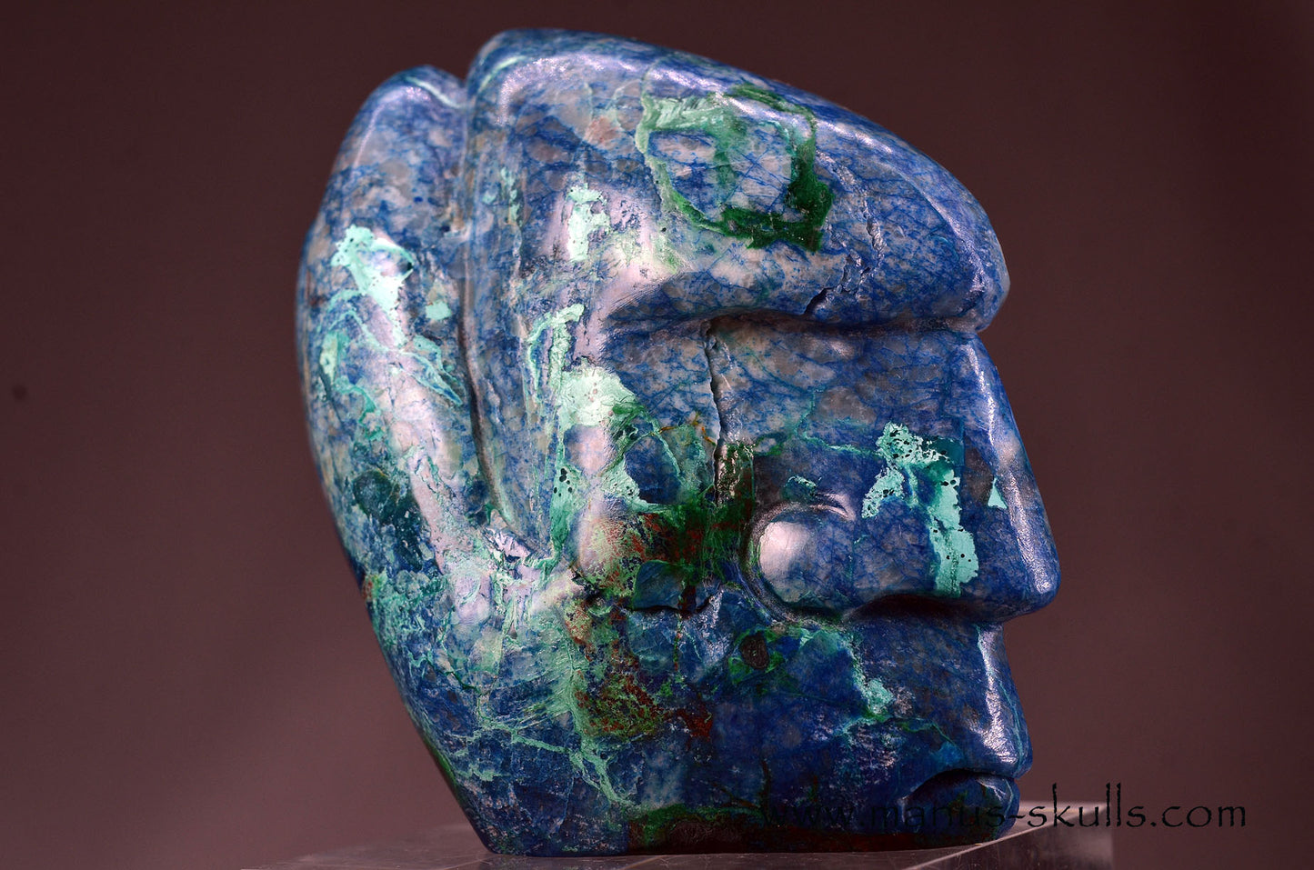 Beautiful Quantum Quattro Tribal Skull (#085)