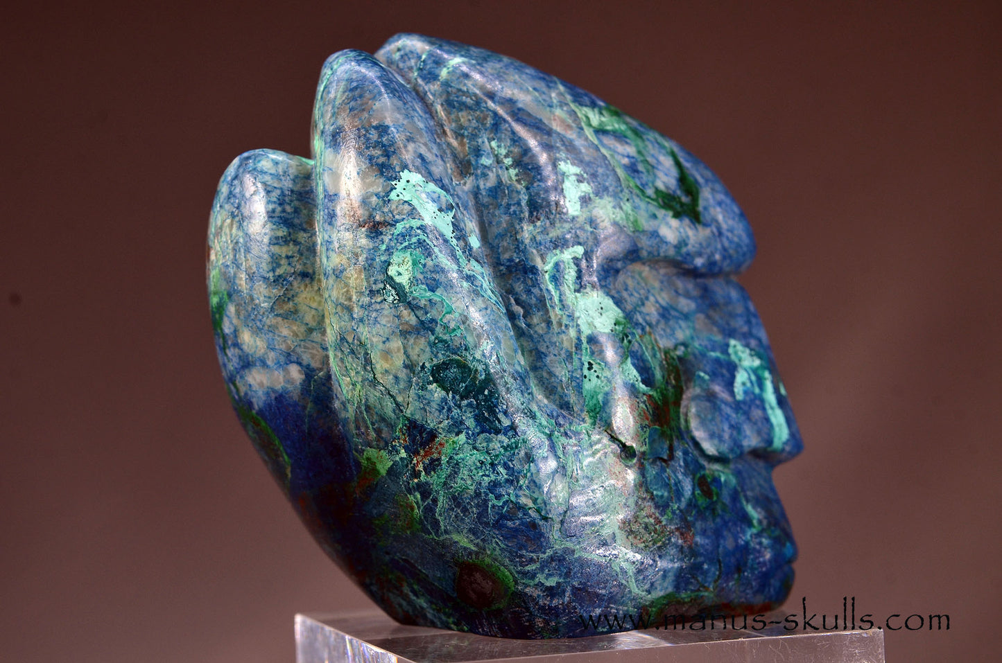 Beautiful Quantum Quattro Tribal Skull (#085)