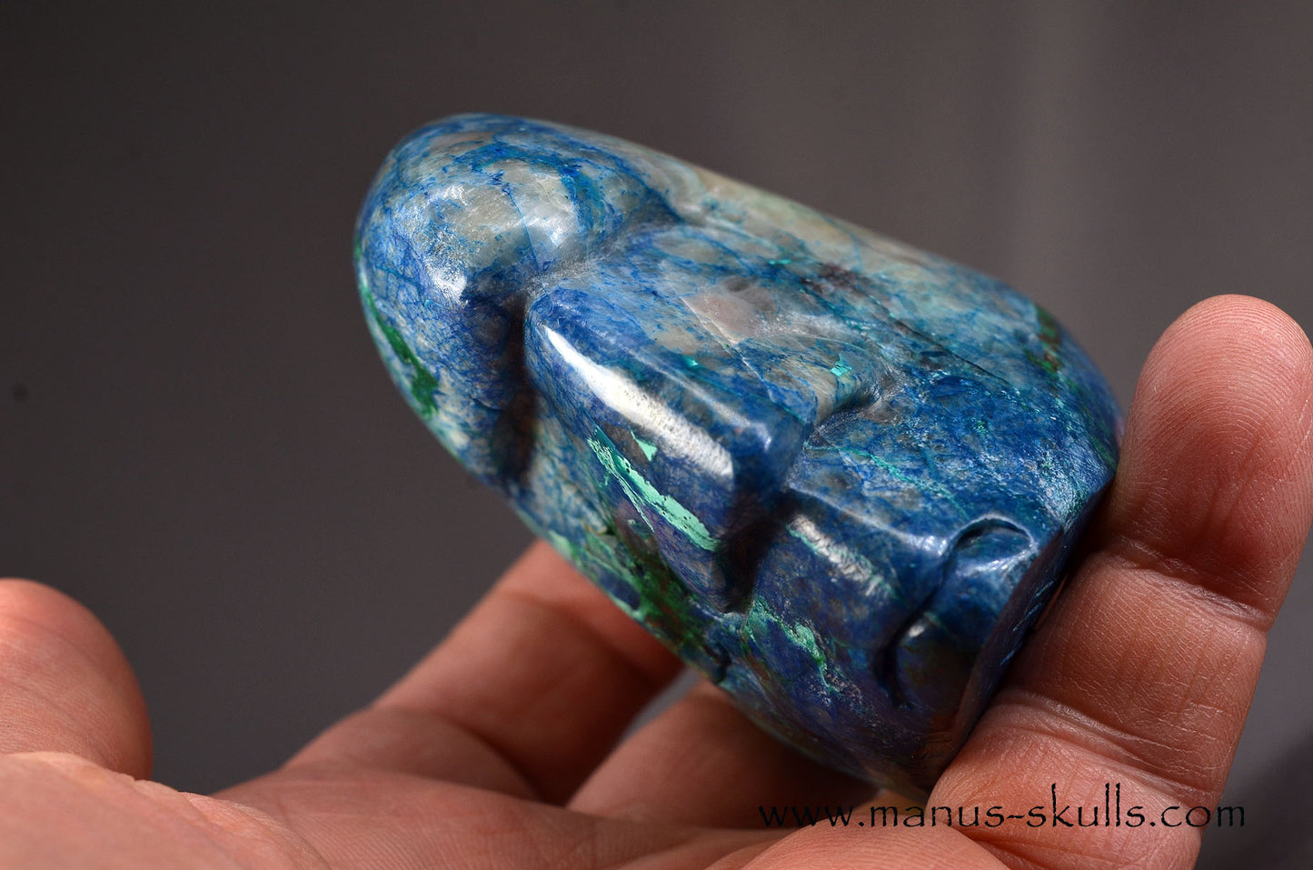 Beautiful Quantum Quattro Tribal Skull (#085)