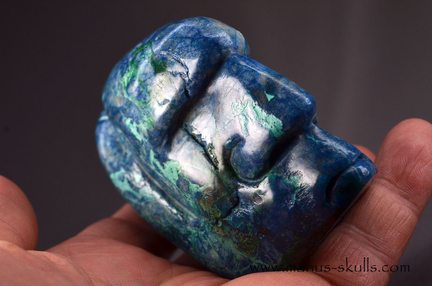 Beautiful Quantum Quattro Tribal Skull (#085)