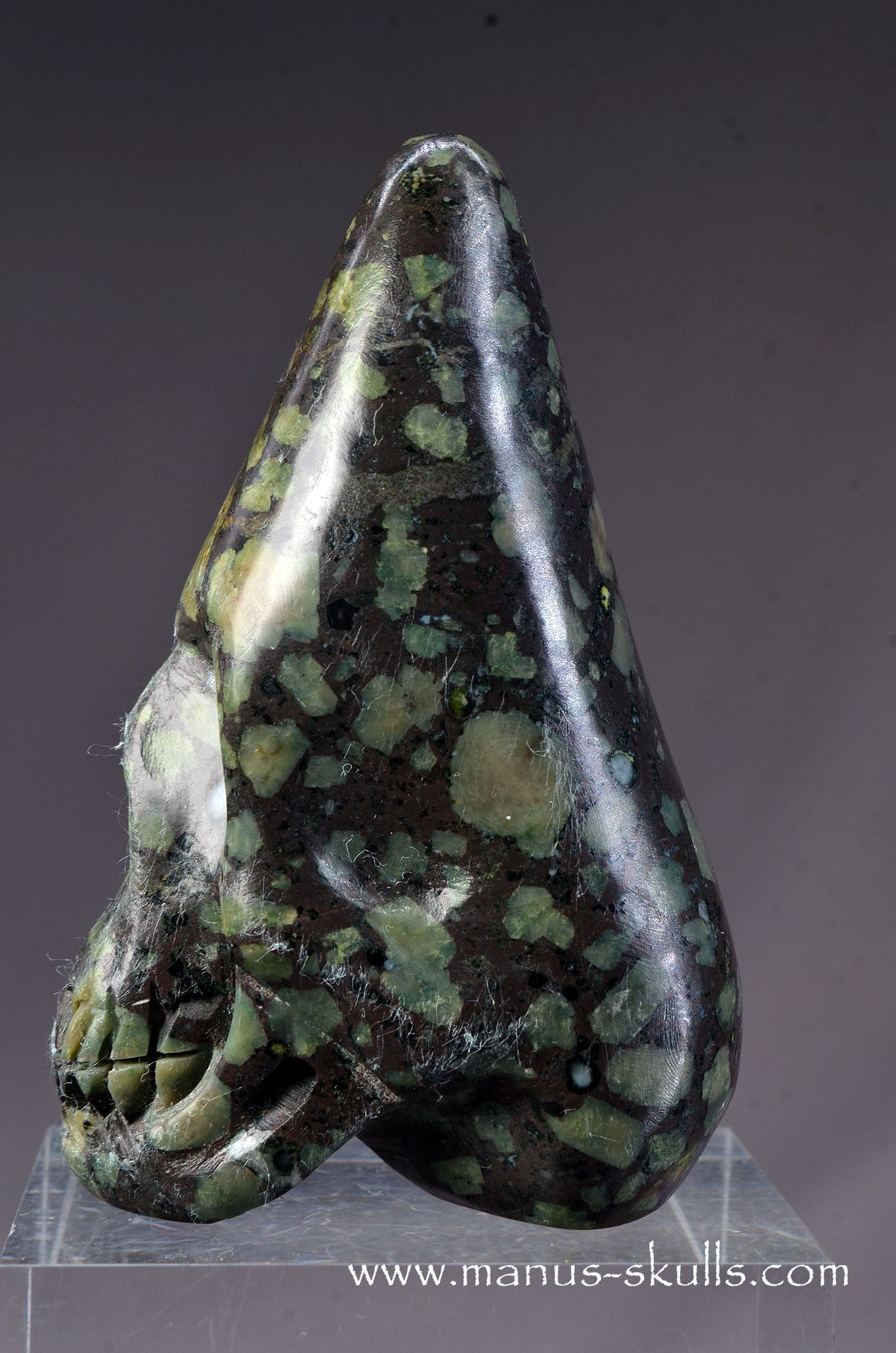 Lakelandite Conehead Skull