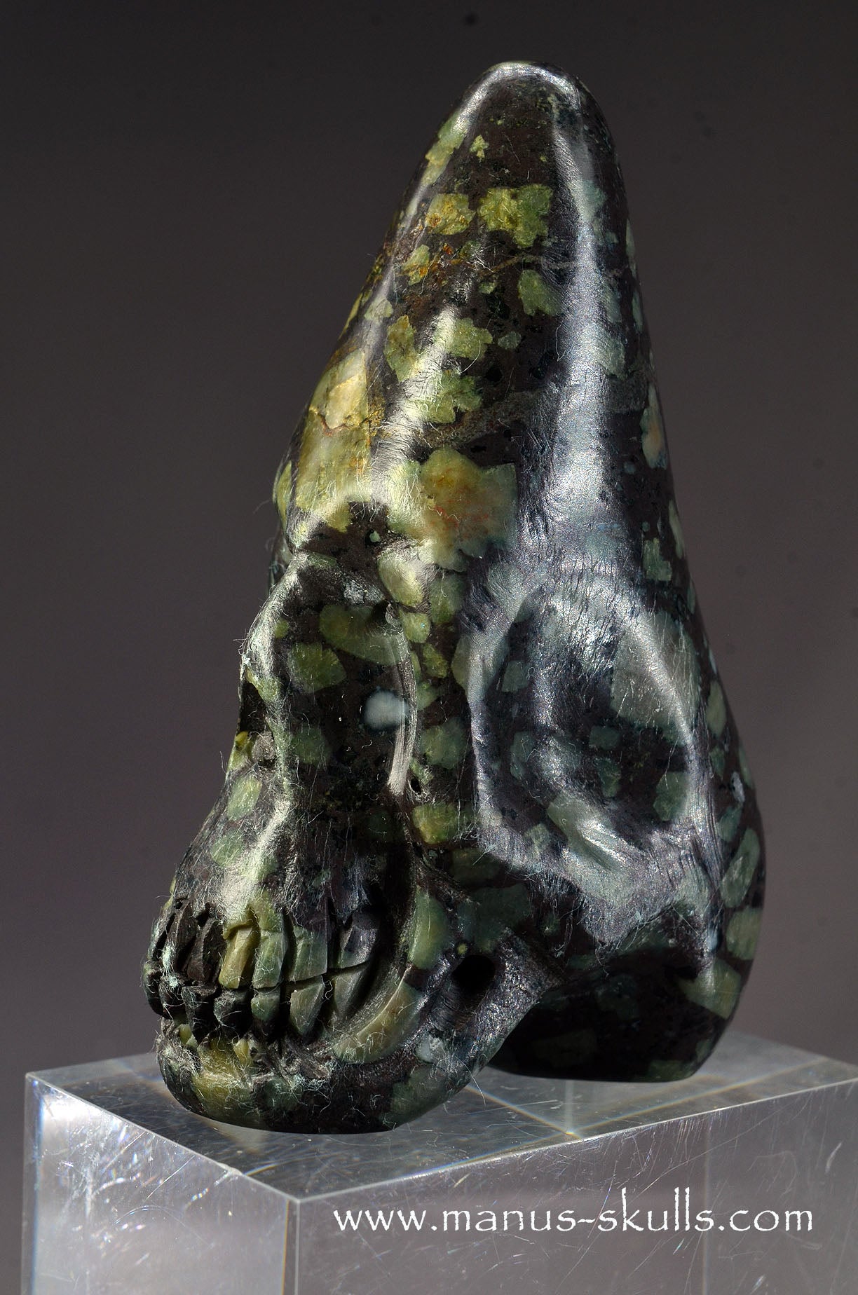Lakelandite Conehead Skull