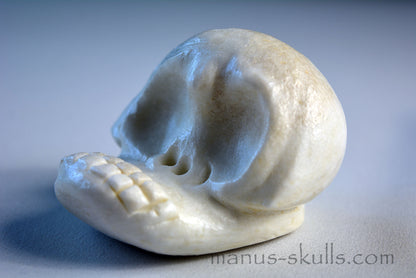 White Steatite Evolian Skull #53