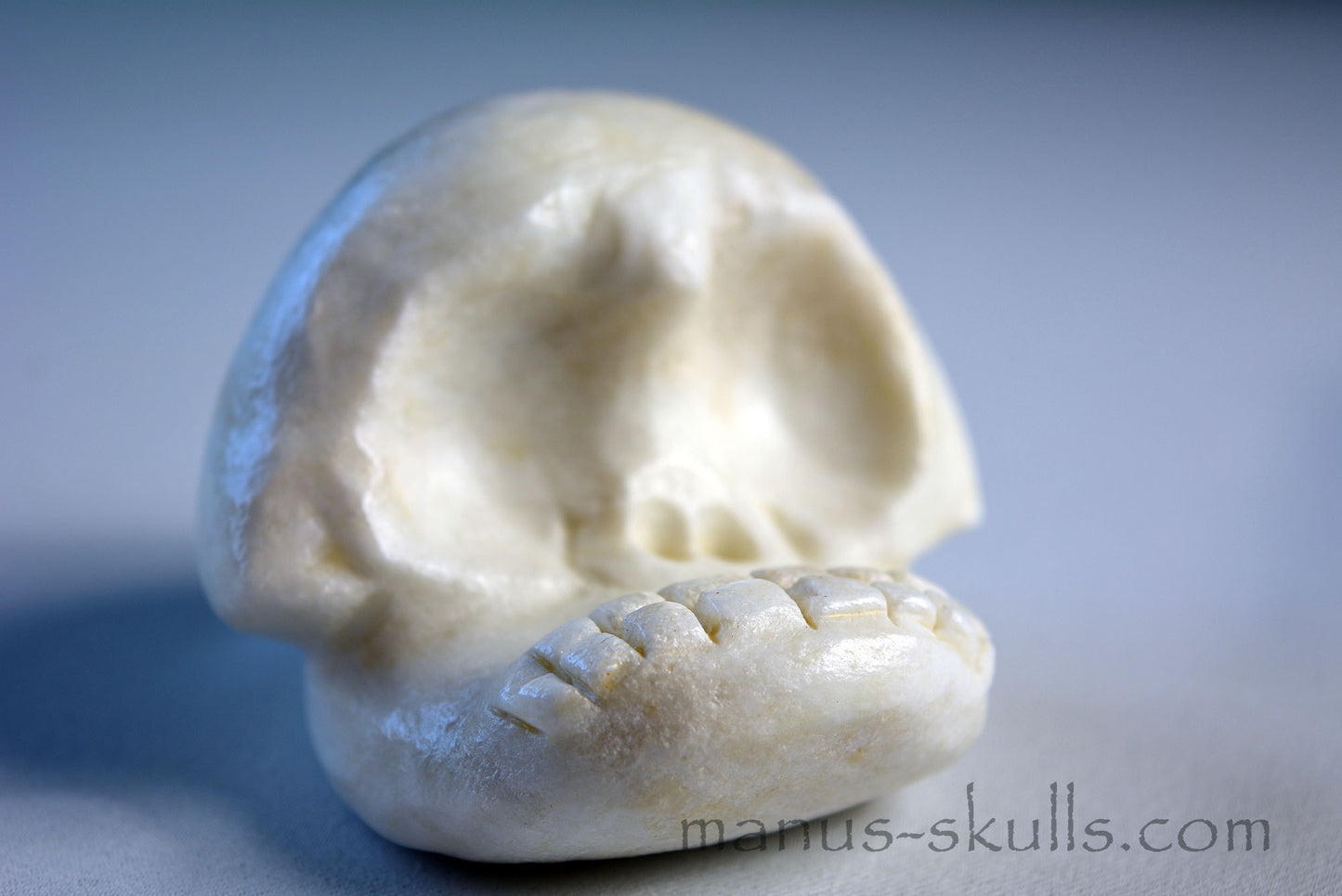 White Steatite Evolian Skull #53