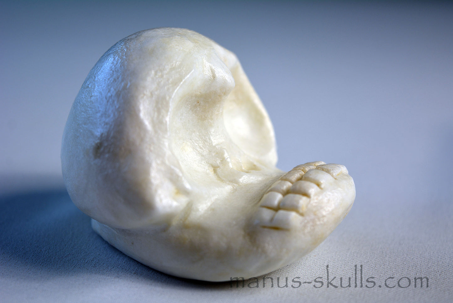 White Steatite Evolian Skull #53