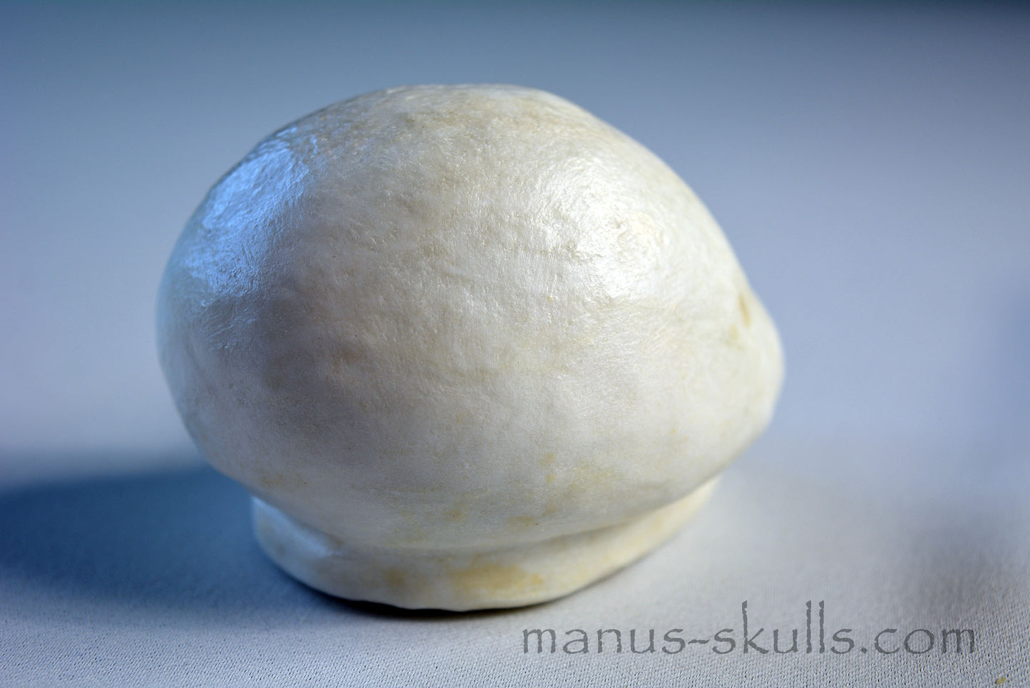 White Steatite Evolian Skull #53