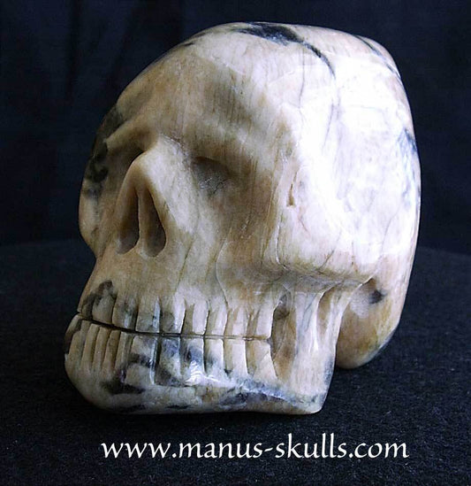 Zebradorite Skull