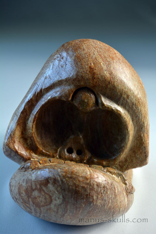 Evolian Manus Skull 2022