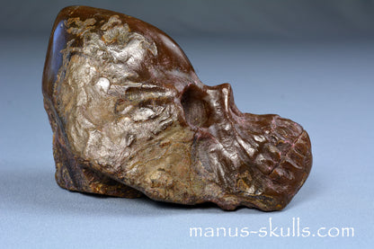Indonesian Amber Skull