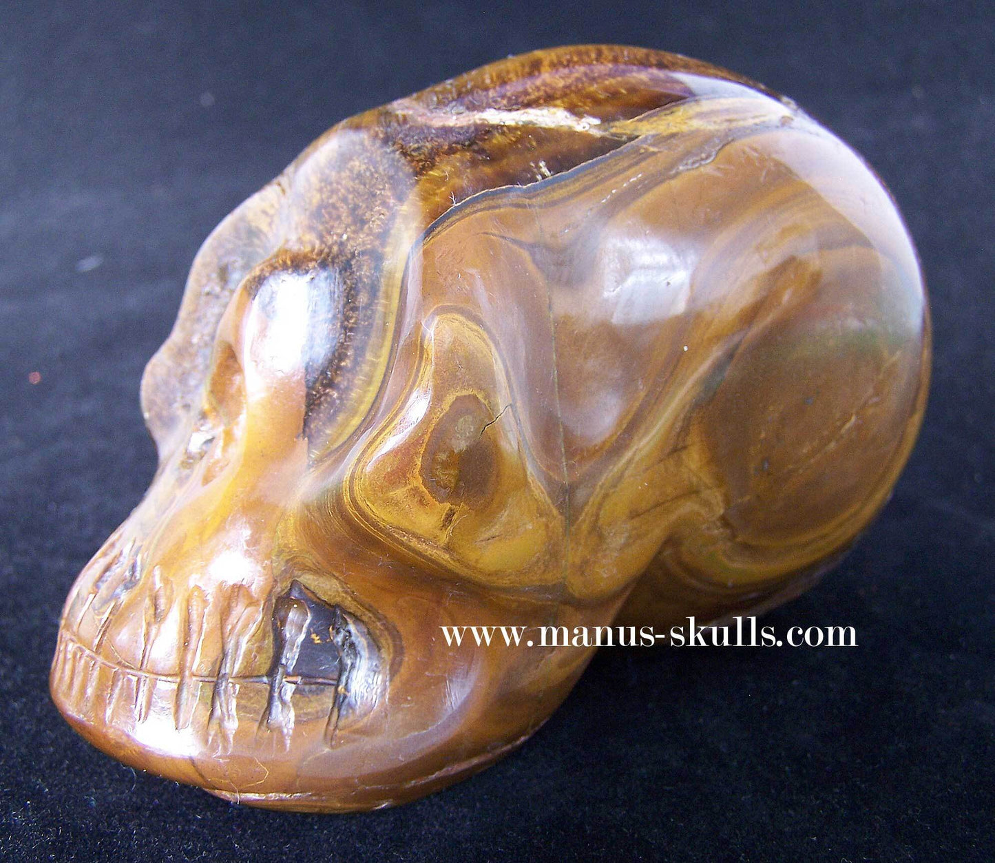 Tiger Eye Skull