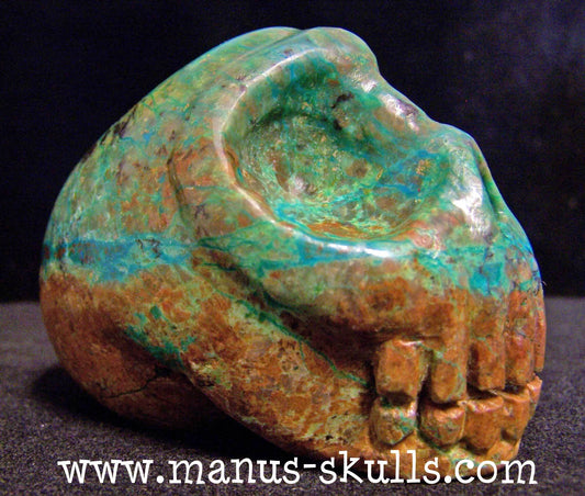 Chrysocolla Skull