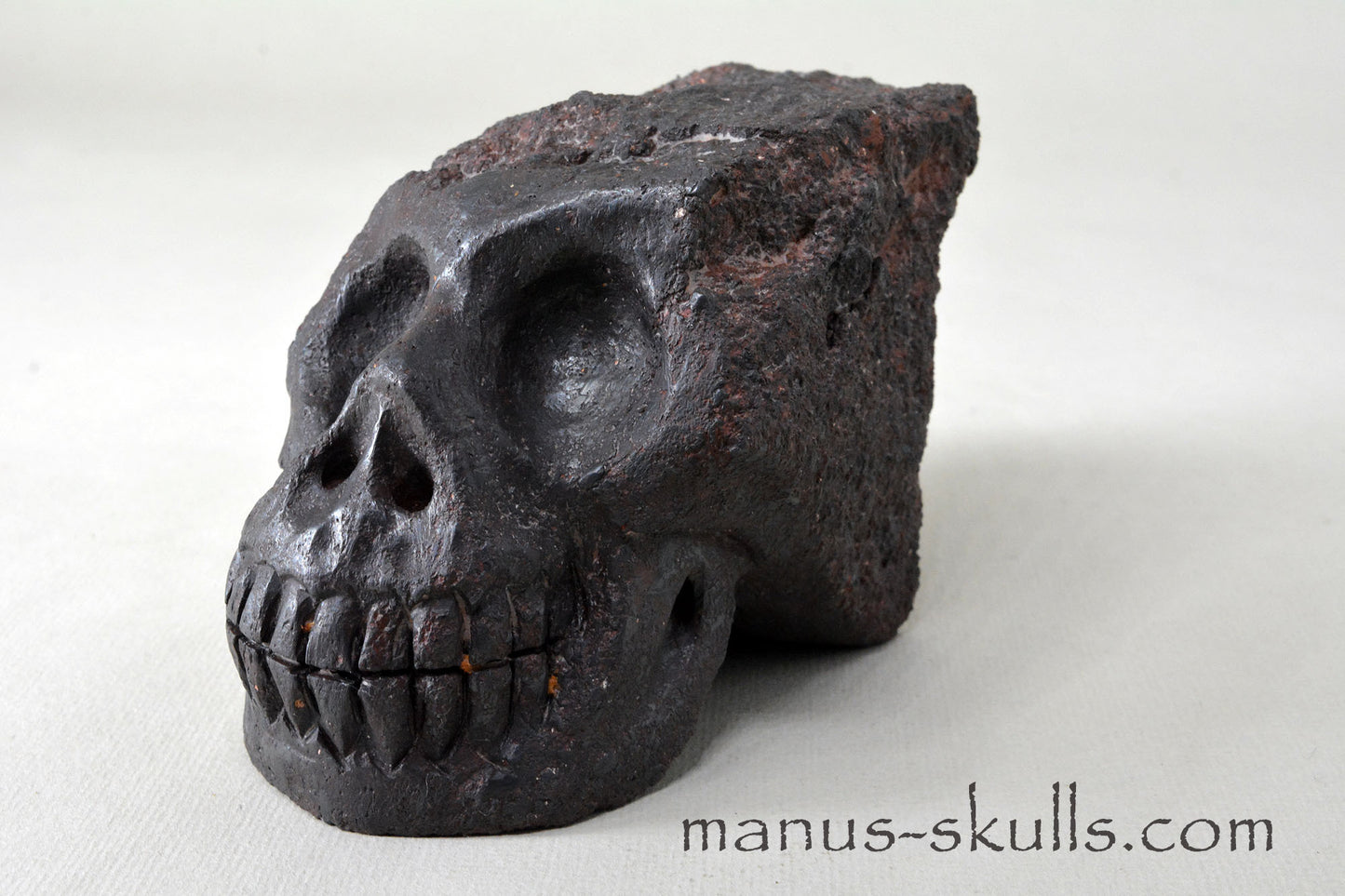 Mundrabilla Meteorite Tektite Skull