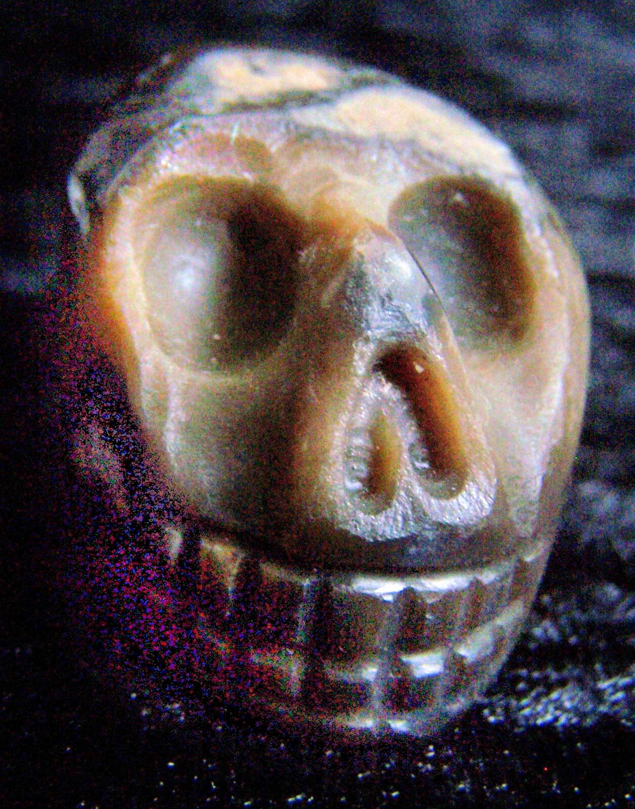 Flint Skull