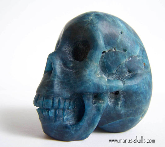 Apatite Skull