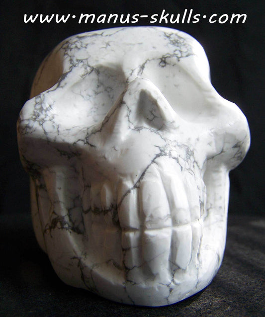 Howlite Skull