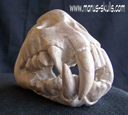 Steatite Dragon