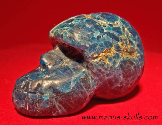 Apatite Skull