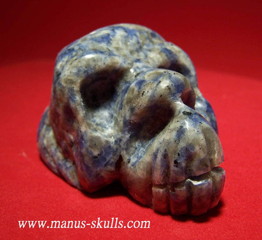 Sodalite Skull