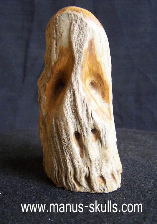 Petrified Wood Skull