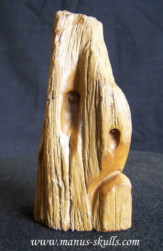 Petrified Wood Skull