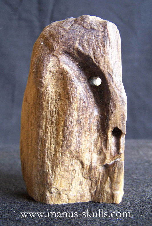 Petrified Wood Skull