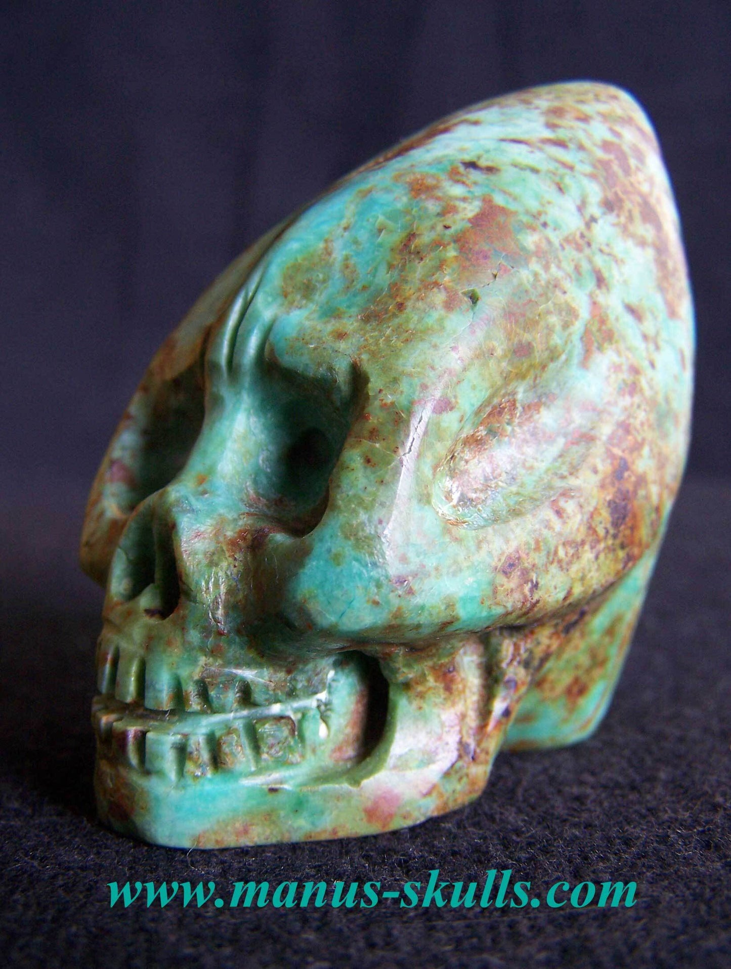 Turquoise Conehead Skull