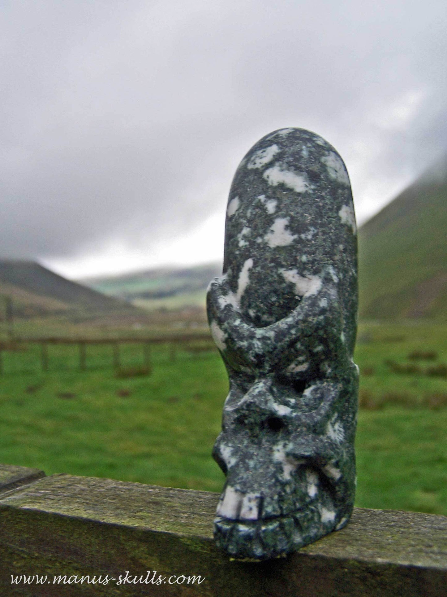 Preseli Bluestone Conehead Skull