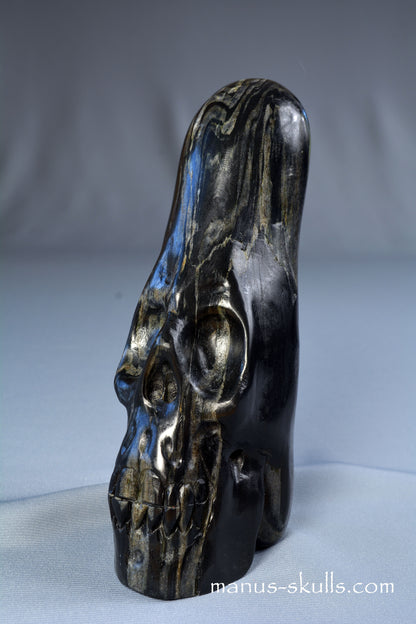 Isua Coneahead Skull