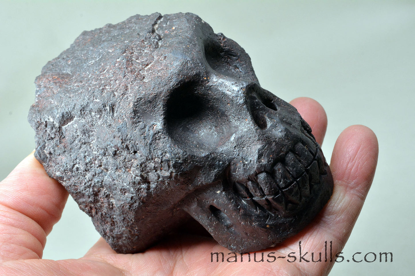 Mundrabilla Meteorite Tektite Skull