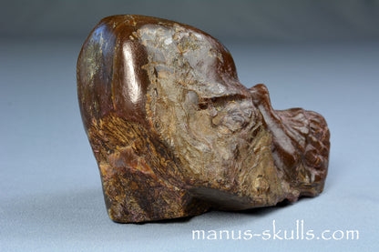 Indonesian Amber Skull