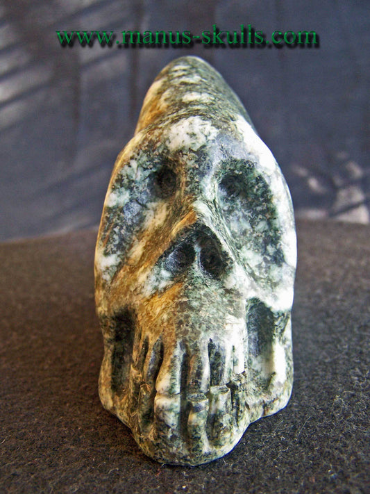 Preseli Bluestone Conehead Skull