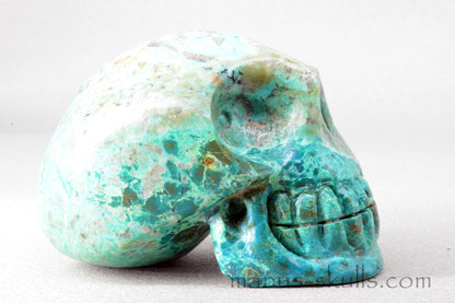 Chrysocolla with Turquois Skull