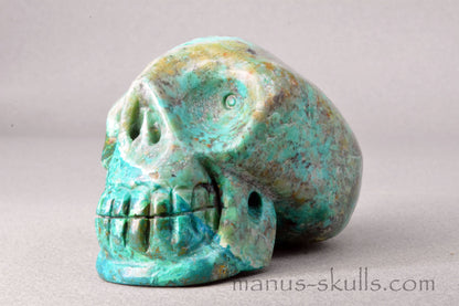 Chrysocolla with Turquois Skull
