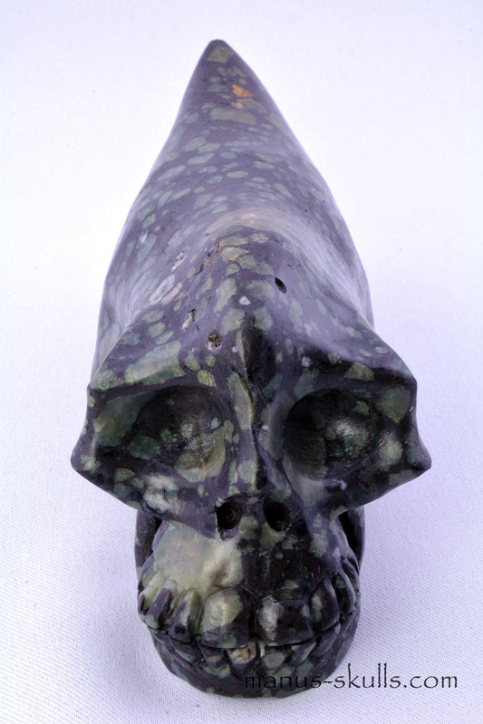 LAKELANDITE Traveller Skull