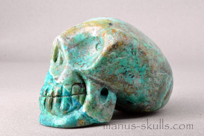 Chrysocolla with Turquois Skull