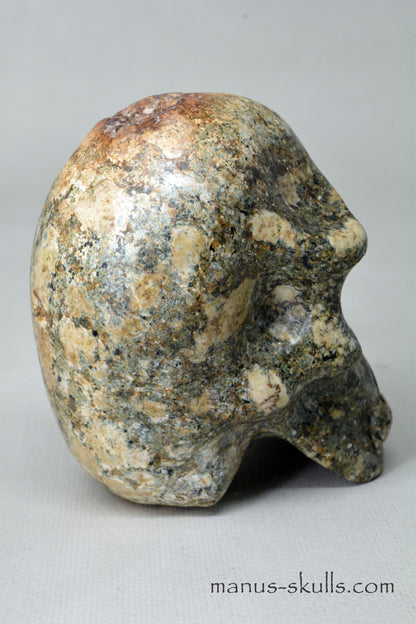 Preseli Bluestone Skull