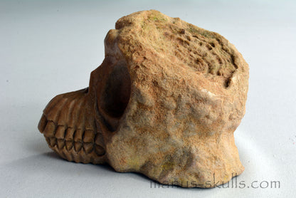 Stromatolite Skull