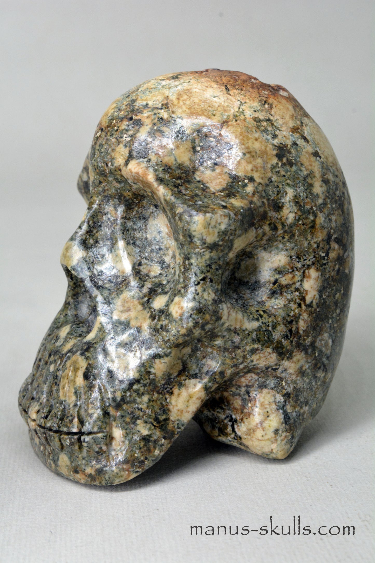 Preseli Bluestone Skull