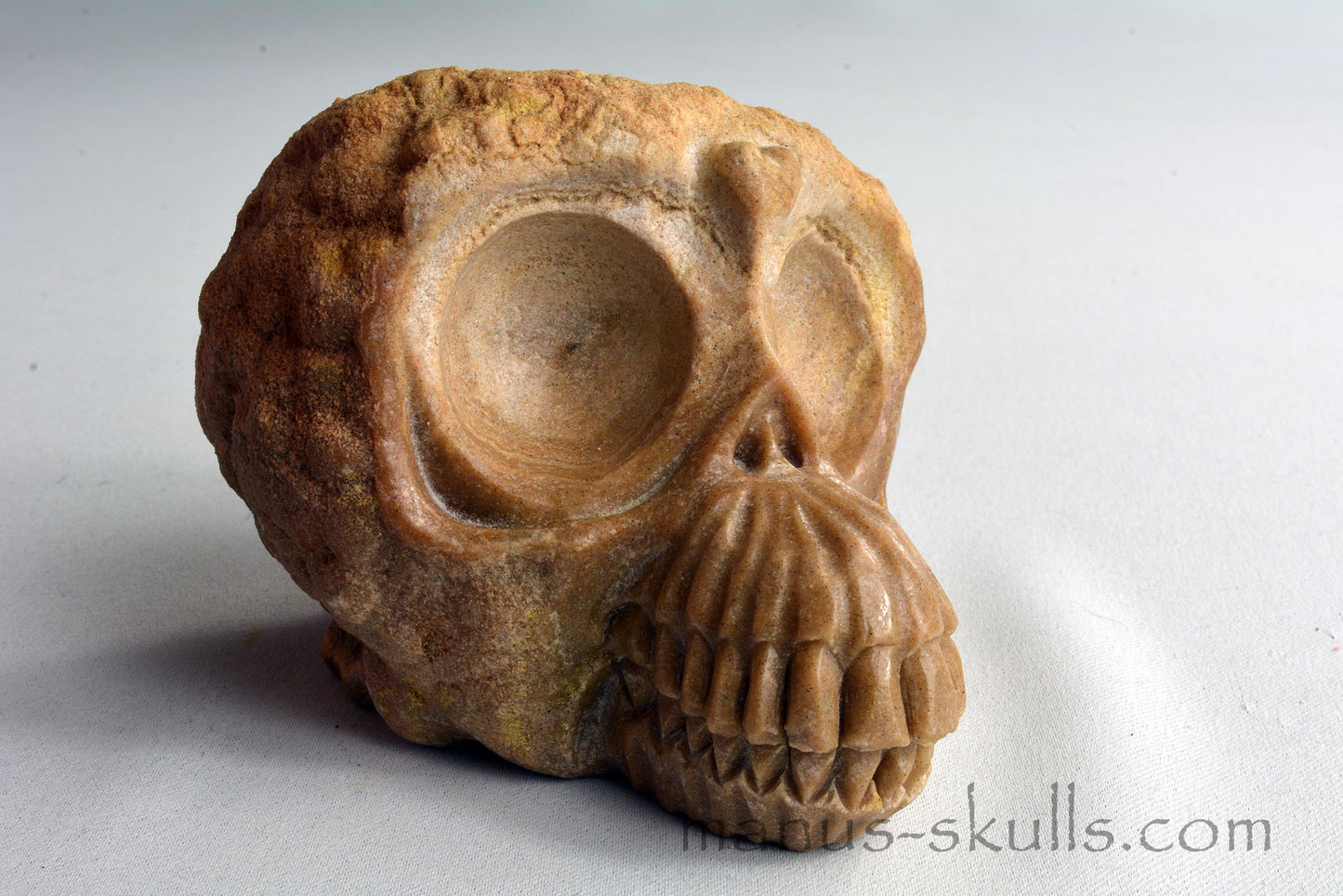 Stromatolite Skull