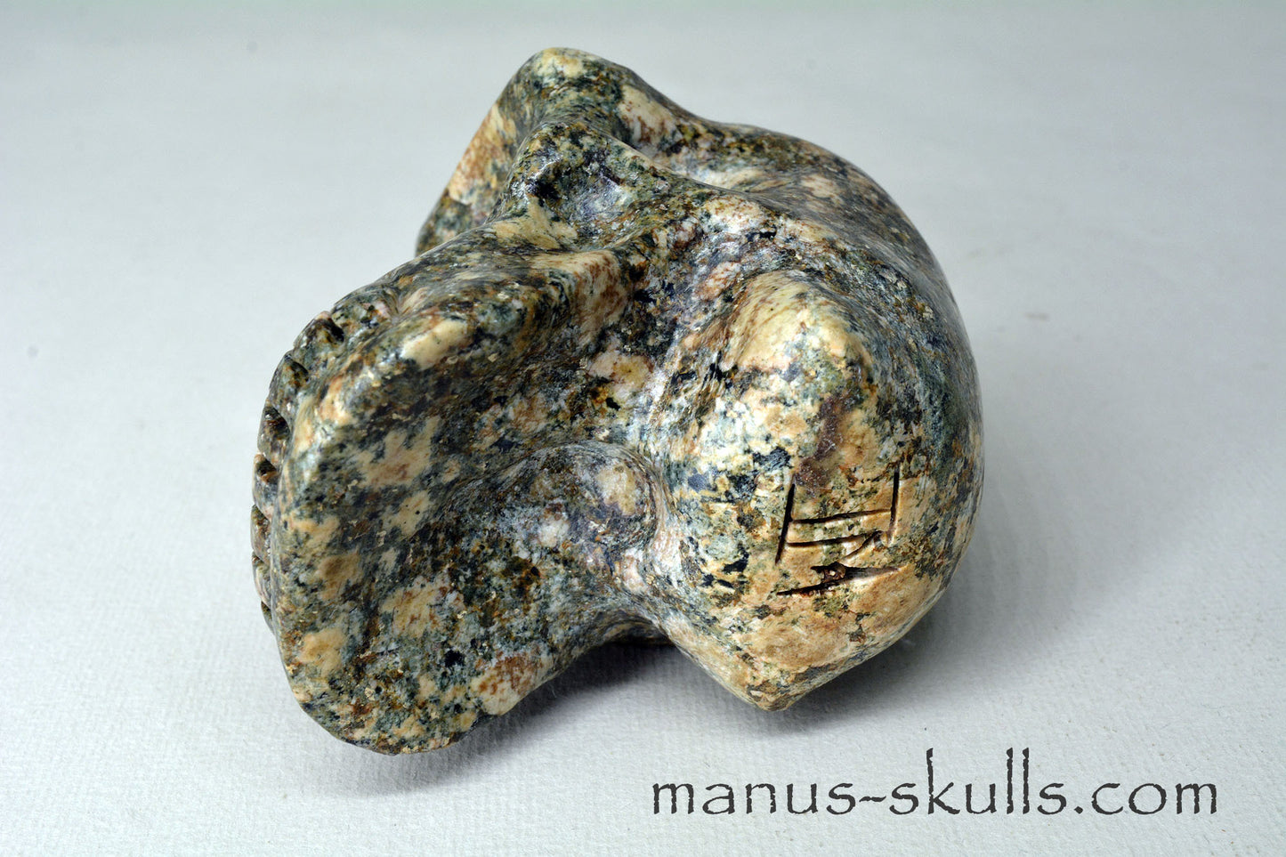 Preseli Bluestone Skull